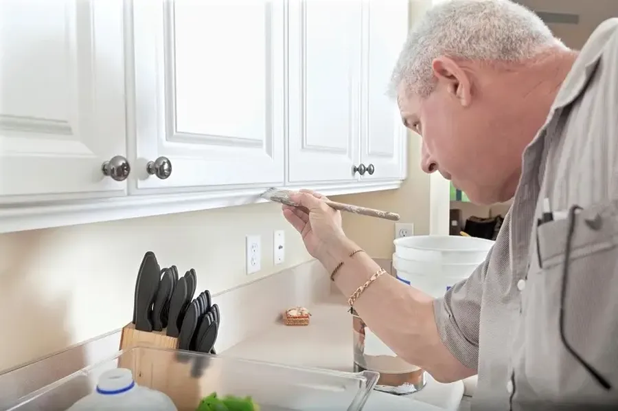 How Cabinet Painting Transforms Your Kitchens Look Phoenixville, PA